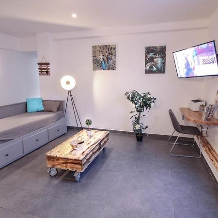 Appartement Calme Et Spacieux, Cite Et Ville A Pied, Wifi, 2 Chambres, 3 Lits カルカソンヌ エクステリア 写真